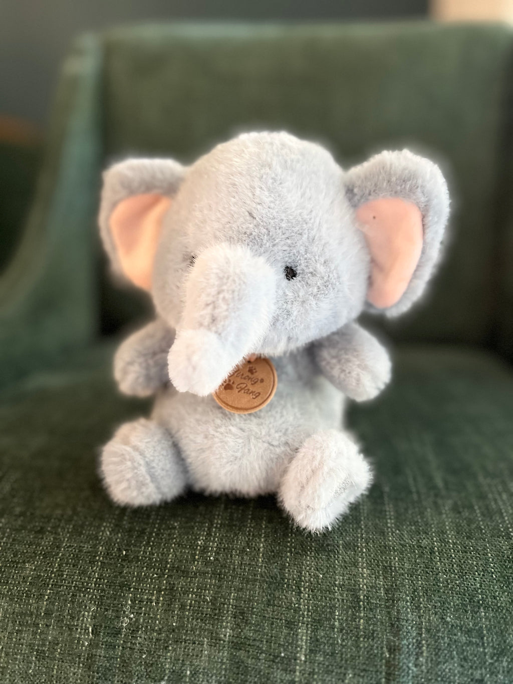 BABY ELEPHANT