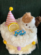 HAPPY CAKE