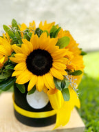 BOX SUNFLOWER