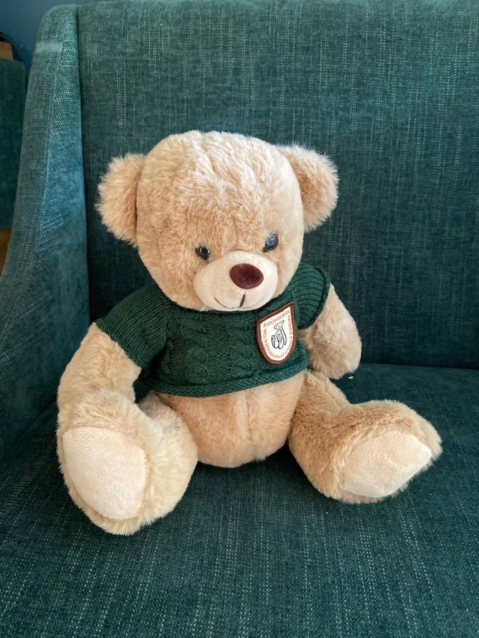 TEDDY MARK