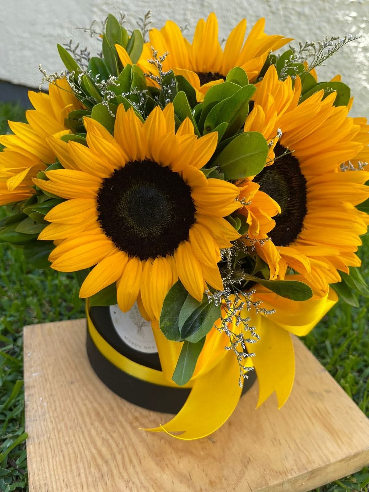 BOX SUNFLOWER