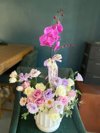 ORQUIDEA SUPREMA