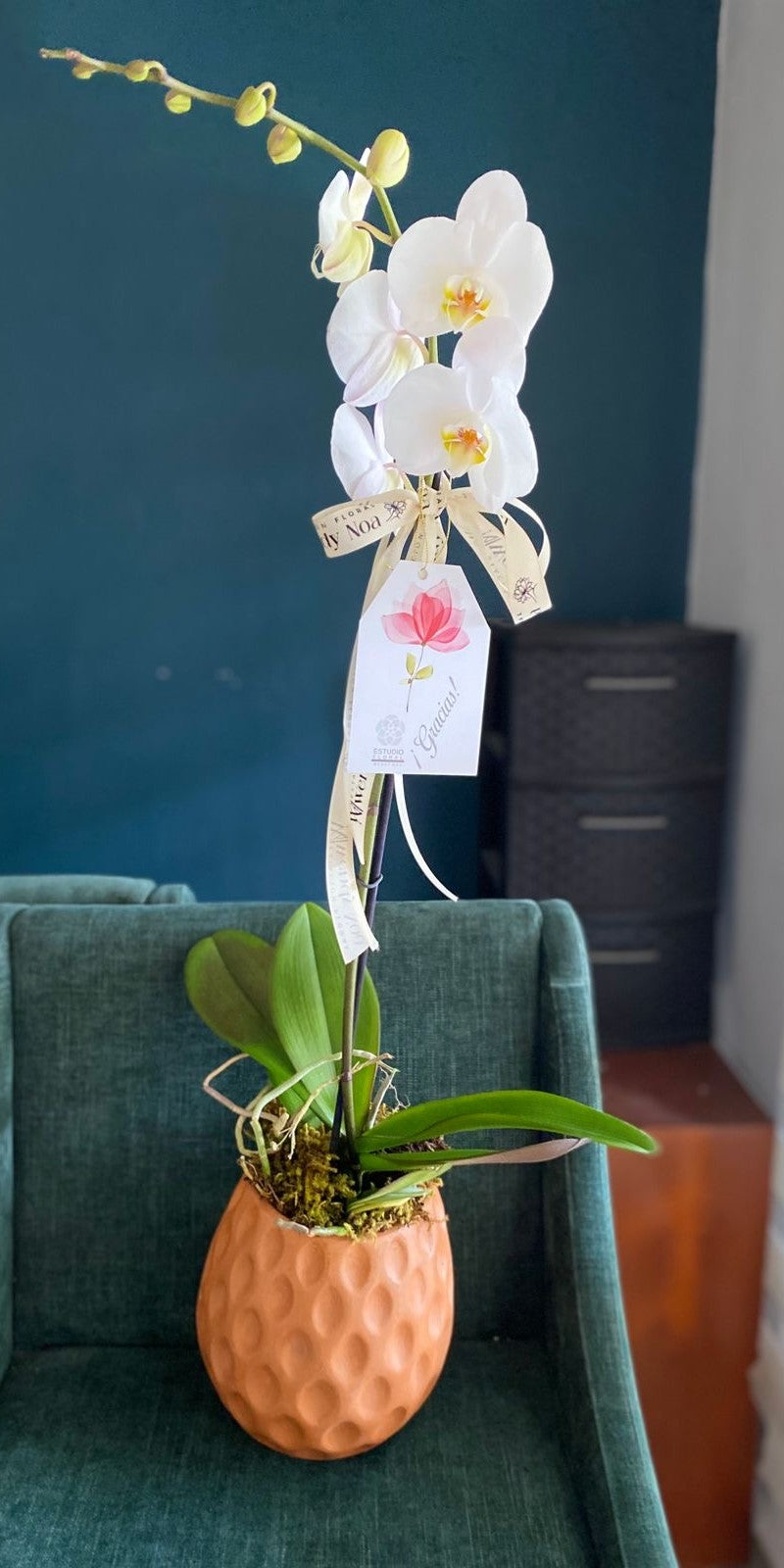 ORQUIDEA IMPERIAL