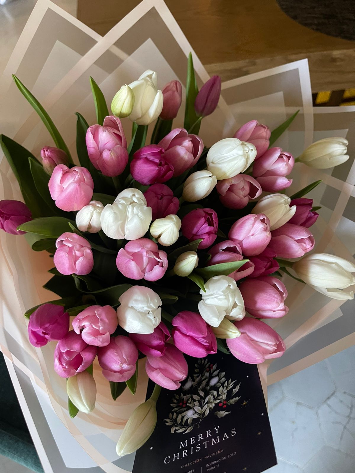 TULIPAN DELUXE