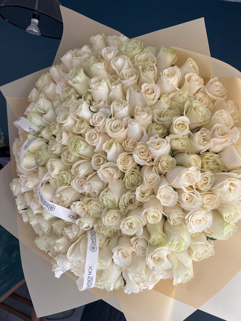 BLOOM DELUXE